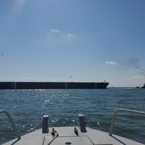 Meet your Posher, Tony